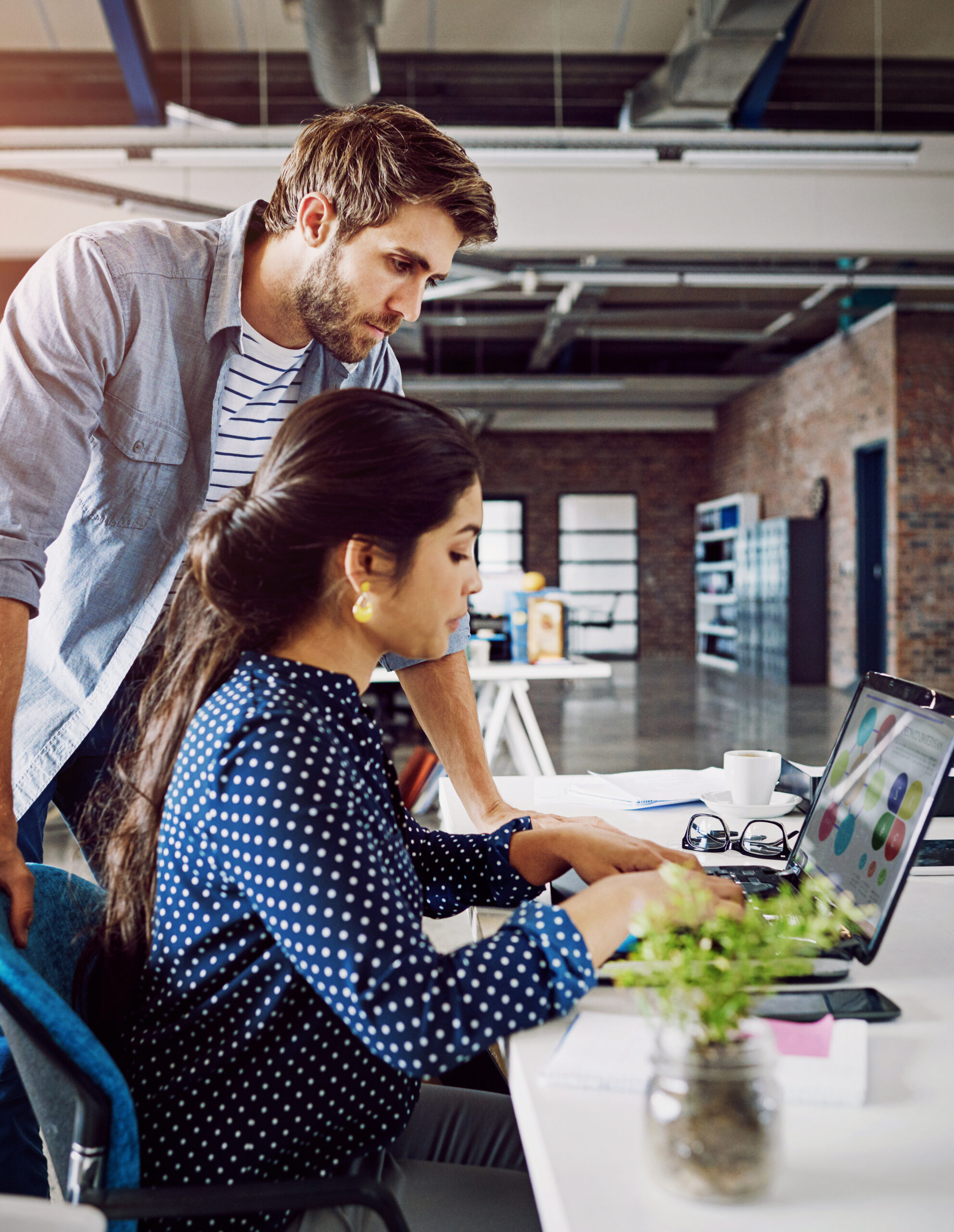 wordpress website development